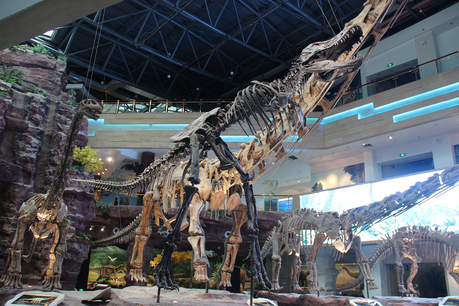 Esqueleto de T-Rex en exhibición